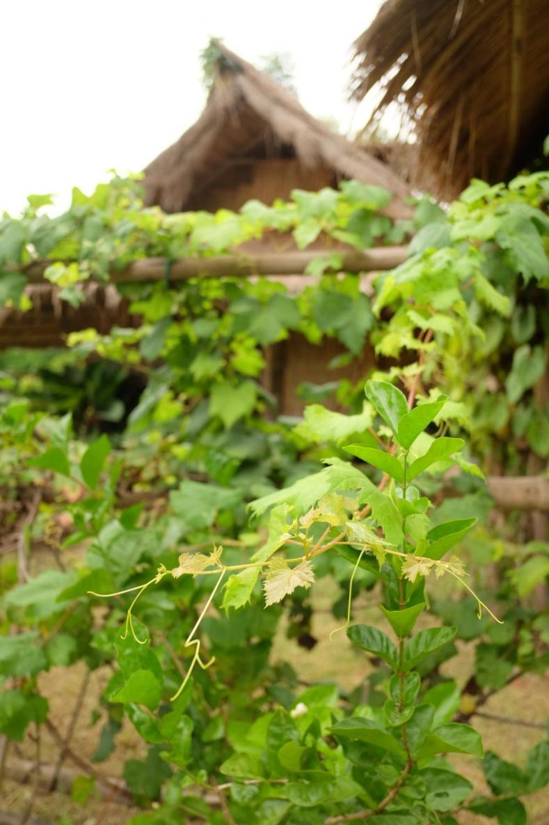 Royal Mountain Hut Hotel Ratchaburi Cameră foto